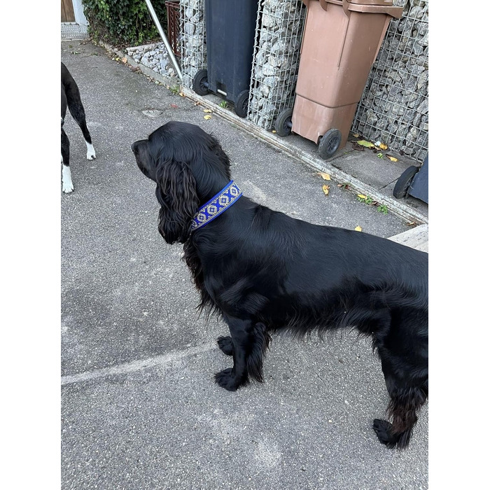 Широкий нашийник для собак 4 см, м'яка підкладка, регульований стопор, комфортний та легкий Martingale, подарунок для собаки (до 48 см обхвату шиї, 54 см обхвату голови з урахуванням 6 см стопора)