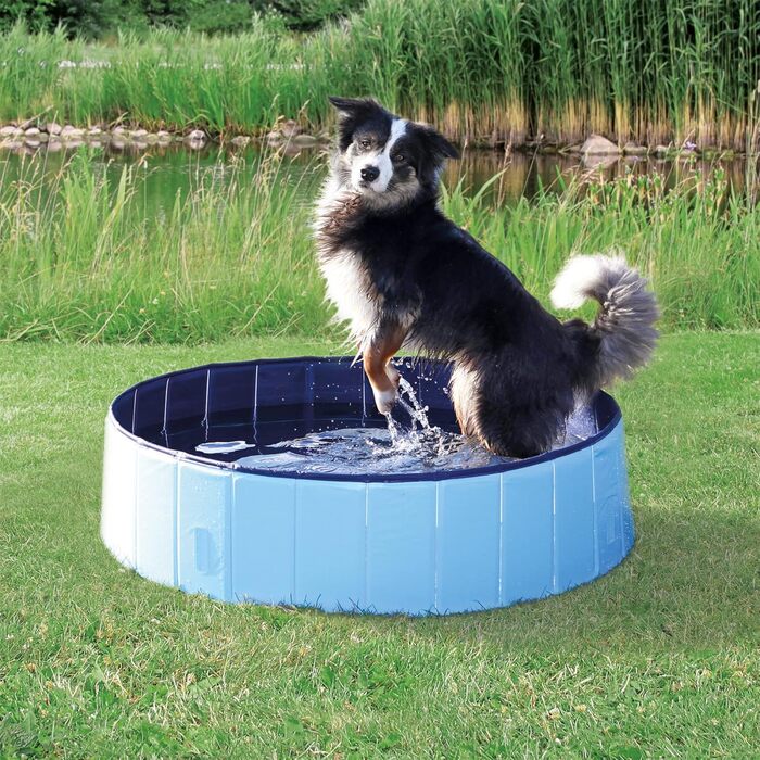 Басейн для собак Trixie, 120×30 см, бірюзово-сірий, пластиковий