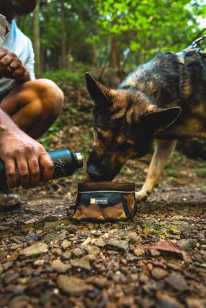 Ruffwear Quencher: Портативний складний миска для води для собак, Ruffwear, Spring Mountains M