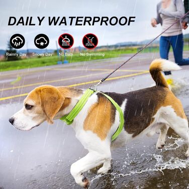 Світлодіодне обіднє намисто для собак PZRLit, світловідбиваючий жилет для собак, перезаряджуваний, м'який, регульований (зелений, середній)