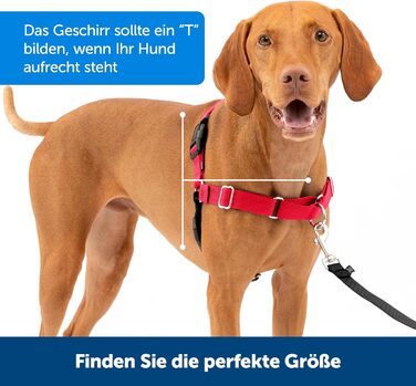 Шлейка для собак PetSafe Easy Walk чорна, середній/великий розмір