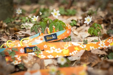 Класичний повідок Hauki, стрічка 2,5 м