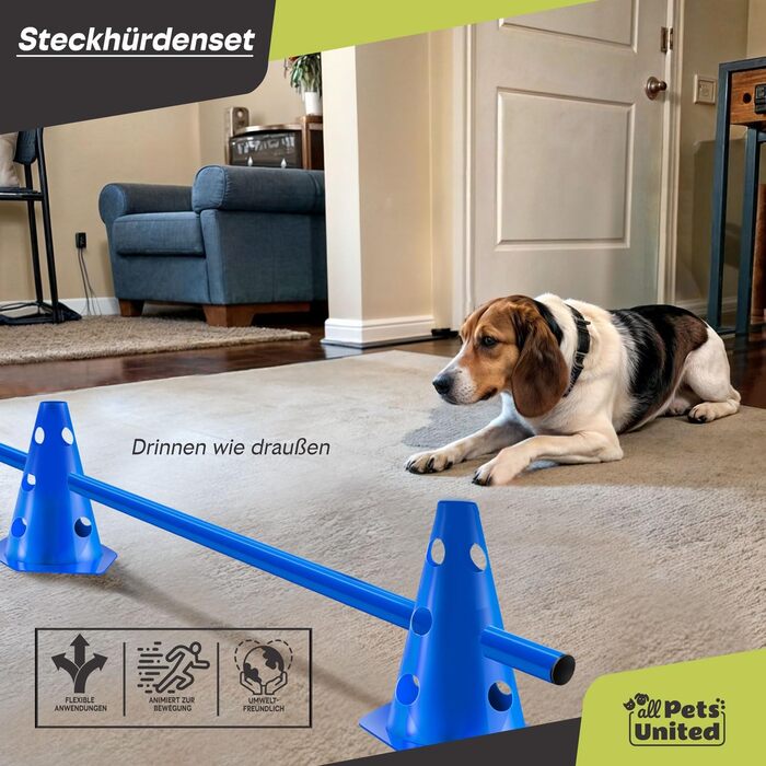 Набір для аджиліті для собак: тунель, аксесуари, конуси, фрісбі, кидки та переносна сумка (200 см)