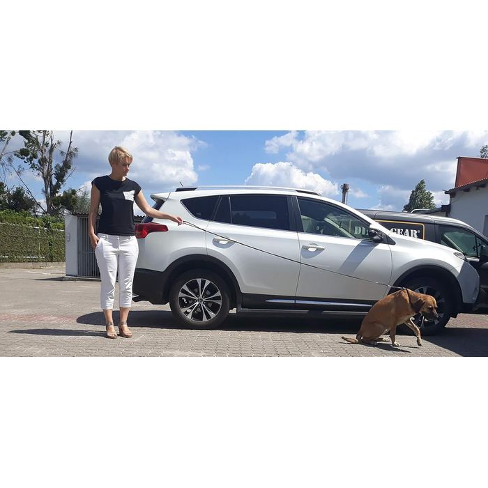 Dingo 10783 виставковий повідець з м'якої шкіри, ручна робота, плетена ручка, чорний