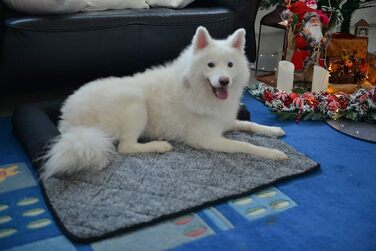 Крісло-ліжко для собак Raikou: зручне та захисне рішення для вашого улюбленця (70x90 см, сірий)