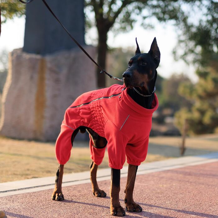 Вітростійка куртка для собак, фліс, зимовий теплий одяг, червона, розмір M