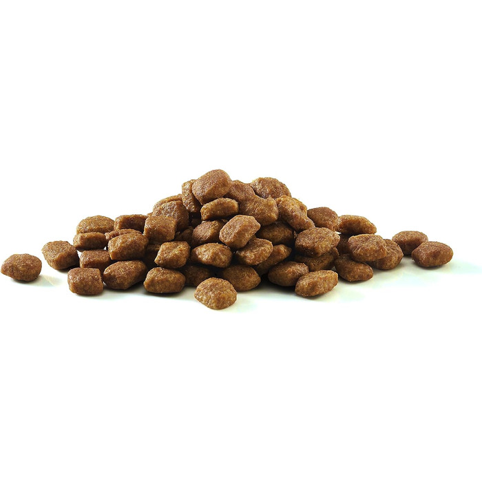 Корм для котів PURINA ONE Bifensis Sensitive з індиком, 6 x 1.4 кг (набір 6 шт.)