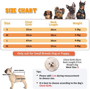 Костюм на Хелловін для тварин BT Bear: Павук, Гарбуз, Розмір L, Cosplay