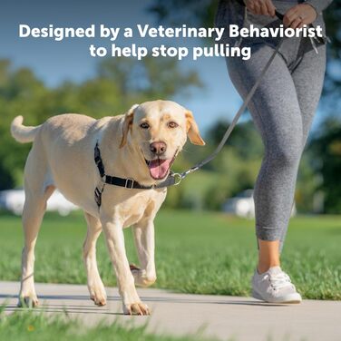 Шлея для собак PetSafe Easy Walk, анатомічна