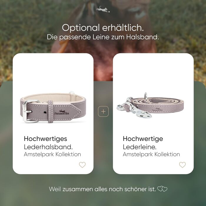 Нашийник для собак Freudentier® Amstelpark з повного зерна шкіри, комфортний, Made in EU, 27.5-38 см, сіро-коричневий