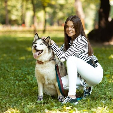 Водонепроникні собачі черевики з відбиваючими ременями, 4 шт., сірі, XL - захист лап для собак