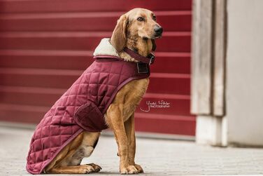 Kentucky Dogwear: Плетений нашийник для собак з нейлону Бордовий, розмір S, 42 см