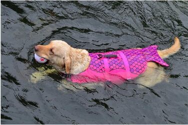 Світшот для собак, професійний, для тренувань, з ручкою для підйому, косплей, розмір S, русалка