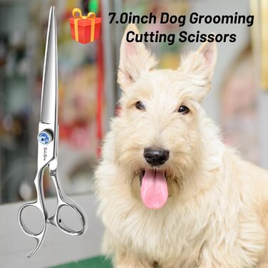 Професійна шерсть для собак 7 дюймів, японська сталь VG10, безшумна заточка, безпечна та гостра