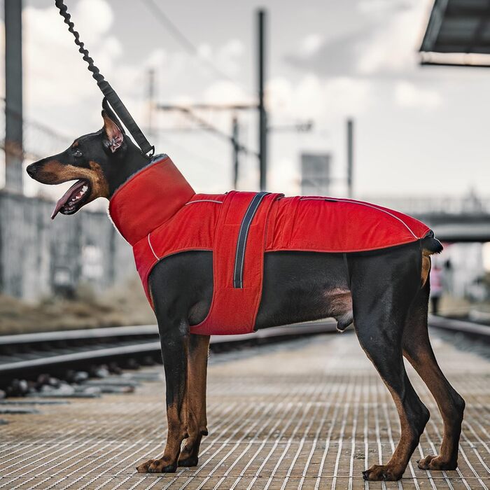 OneTigris STORMWALL Водонепроникний дощовик для собак з регульованою довжиною спини, флісовою підкладкою, світловідбиваючими елементами та коміром з хутра для прогулянок на природі, середніх та великих собак, L (XL:39-64кг, червоний)