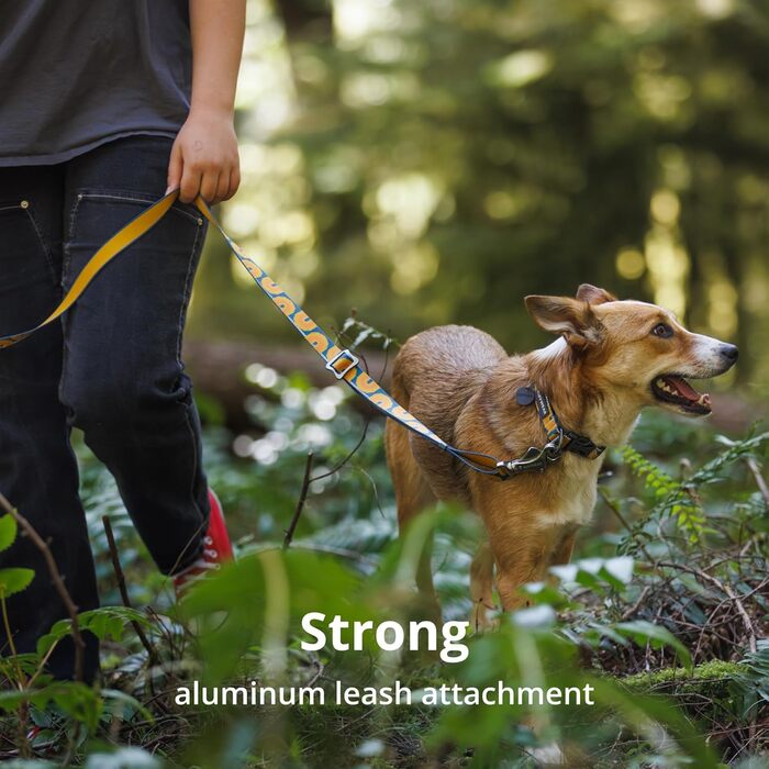 Нашийник для собак Ruffwear Crag, середній, 36-51 см, з алюмінієвим кільцем V, регульований, м'який, преміум-якість, для повідка