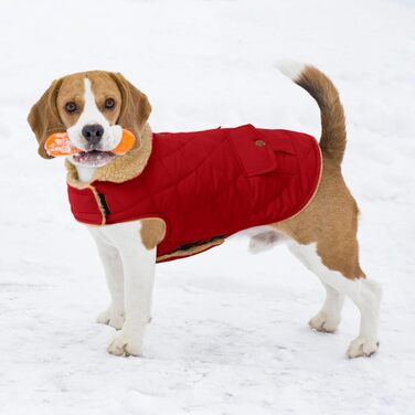 Зимовий теплий одяг для собак: куртка з флісу, підходить для чихуахуа, такс, червона, розмір S