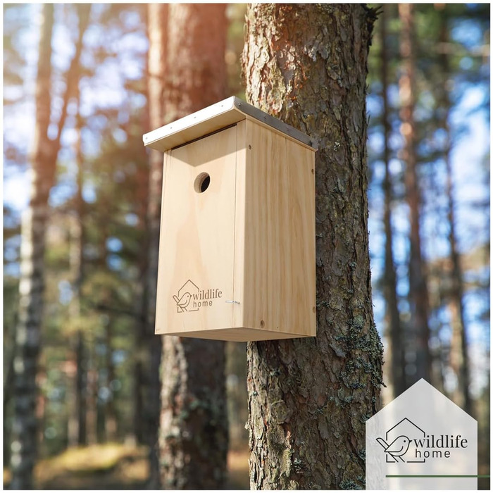 Дерев'яний шпаківня WILDLIFE HOME з металевим дахом для синиць, згідно NABU, для великих синиць, з цільного дерева, стійкий до погодних умов, натуральний, підвісна годівниця для птахів