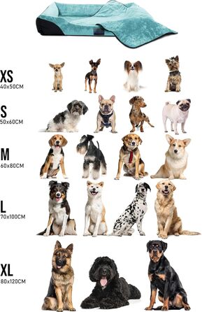 Корзина для собак Normani з ковдрою - лежанка для тварин, блакитна, 60x80 см