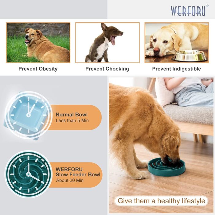 Навісник для собак, повільне годування, антизаковтування, безпечний та міцний, екологічний, темно-зелений