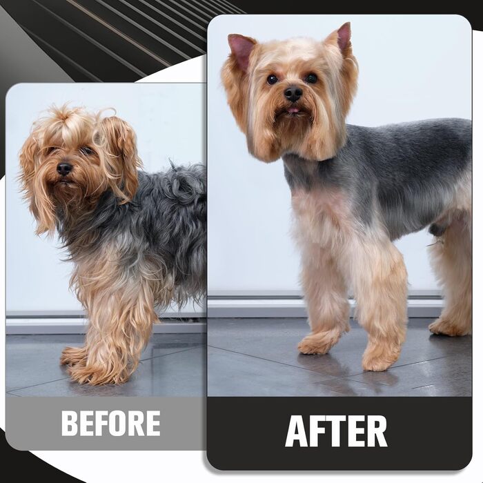 Набір професійних ножиць для грумінгу собак Wenshall 7.0 дюймів (5 шт.)