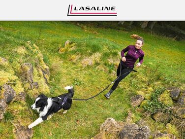 LASALINE Шлея X-Back для собак, для канікросу, їзди на велосипеді, дожскутеру та санках, чорна з неоново-жовтим