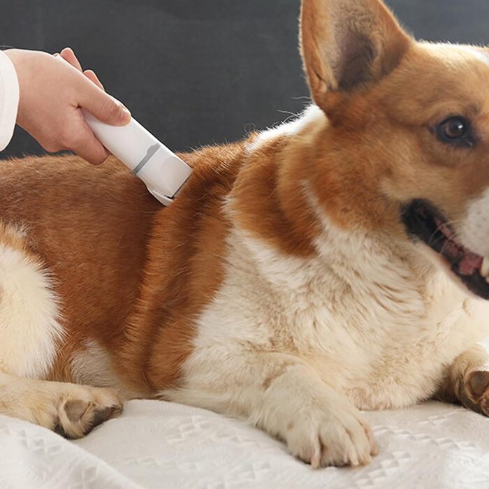 Триммер для собак та котів Fafeicy: безшумний, акумуляторний набір для грумінгу, вологостійкий ABS-пластик