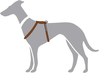 Нашийник для собак HUNTER Round & Soft Canadian UP, колір: Cognac, м'яка, еластична шкіра, оброблений край, не травмує шерсть, екологічний, Made in Germany, розмір: S/1 S/1 Cognac