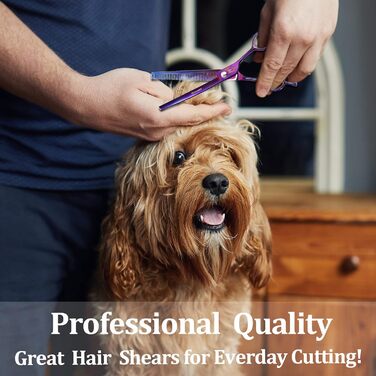 Професійна вигнута ножиця для грумінгу собак, гострі леза, універсальна ножиця, ножиці для догляду за собаками, японська сталь 440C, плавне різання та точний зріз, кольори, 17,8 см