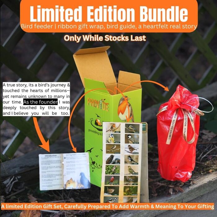 Годівниця для птахів на сонцезахисній підставці, для саду, срібна. З наповнювачем: соняшникові зерна та суміш.