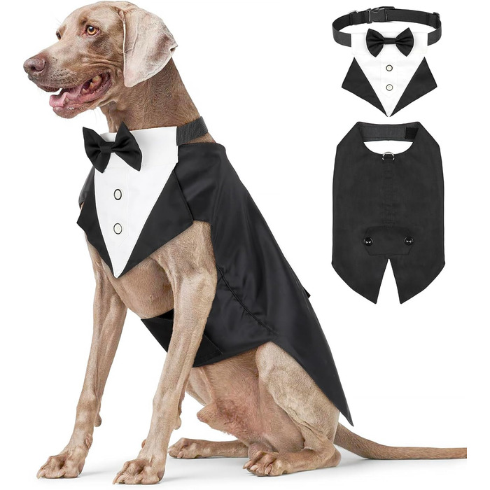Елегантний костюм для собак Illuifun Sokinganzug з банданою та краваткою (2XL), костюм для святкування, для собак