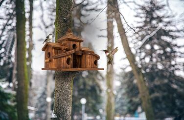 Дерев'яний пташиний будиночок COLEBA на 5 сімей, зовнішній вуличний будиночок для синиць, в'юрків, кардиналів, підвісний, для саду, 5 кімнат