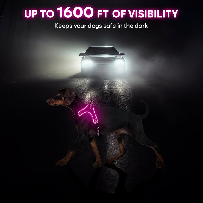 Світлодіодне шлейка для собак з підсвічуванням, заряджається, з ручкою, світловідбиваюча, для безпеки вночі, середніх, маленьких та великих собак (Рожева, XL)