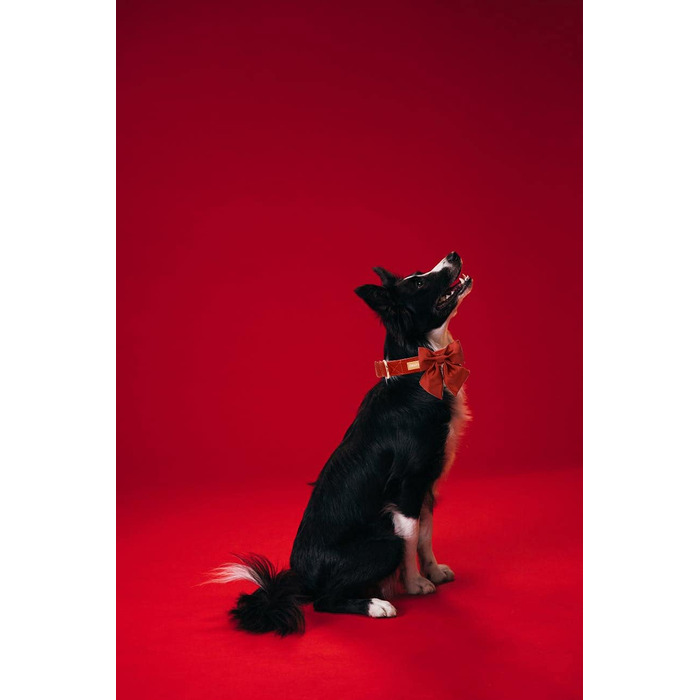 Шовковий ошийник для собак Mandarine, регульований, довговічний, з бантиком, для великих собак, розмір M