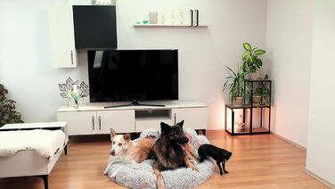 Кругле ліжко для собак Pfoten&nasen® Bärenpfote, сірого кольору, розмір S (65 см) – м'яке, зручне, для маленьких собак, легко миється