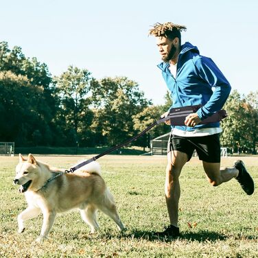 Сумка для ласощів для собак, поясна сумка для собак, аксесуари, мішок для ласощів з дозатором кульок для прибирання, світловідбиваюча еластична стрічка на талії для прогулянок, походів та дресирування (з 1 повідком, чорного кольору)