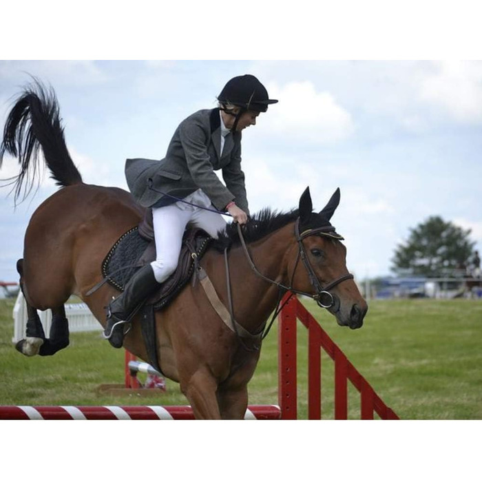 Наїзницька батогом для коней Jump Bat 18 дюймів з декором зі стразів. Кольори: чорний, синій, зелений, фуксія, рожевий, фіолетовий, червоний, жовтий