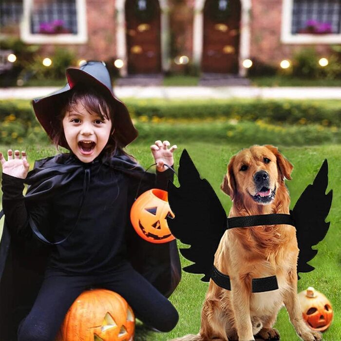 Костюм для тварин на Хелловін: крила кажана для котів та собак, чорний, M145