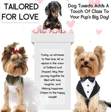 Костюм для собак 'Хюкосу Хунд' з банданою: для вечірок, свят, Хелловіну та Нового року. Підходить для собак різних розмірів.