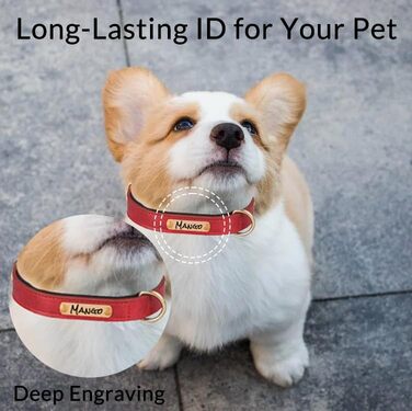 Шкіряний ошийник для собак та котів з глибокою гравіюванням, персоналізований, для малих, середніх та великих порід