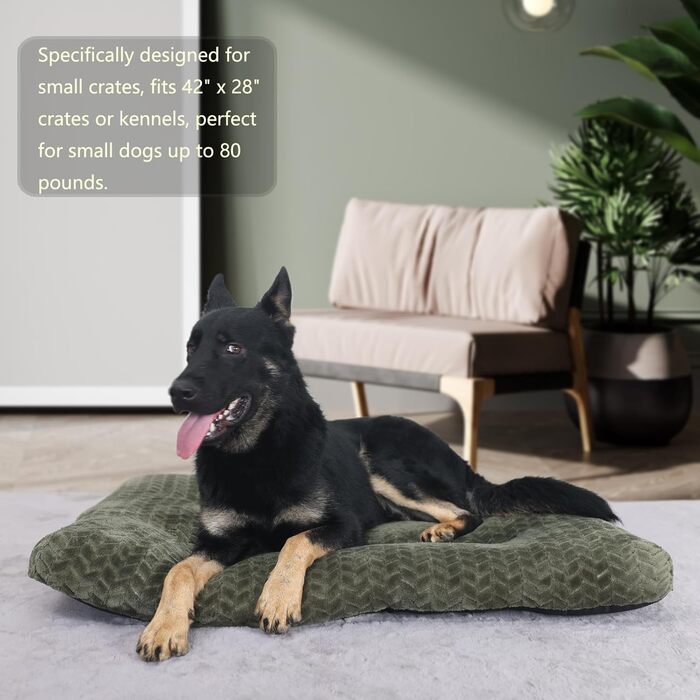 Клітка для собак середнього розміру з м'яким ліжком, 76,2 см, до 18 кг, зелена