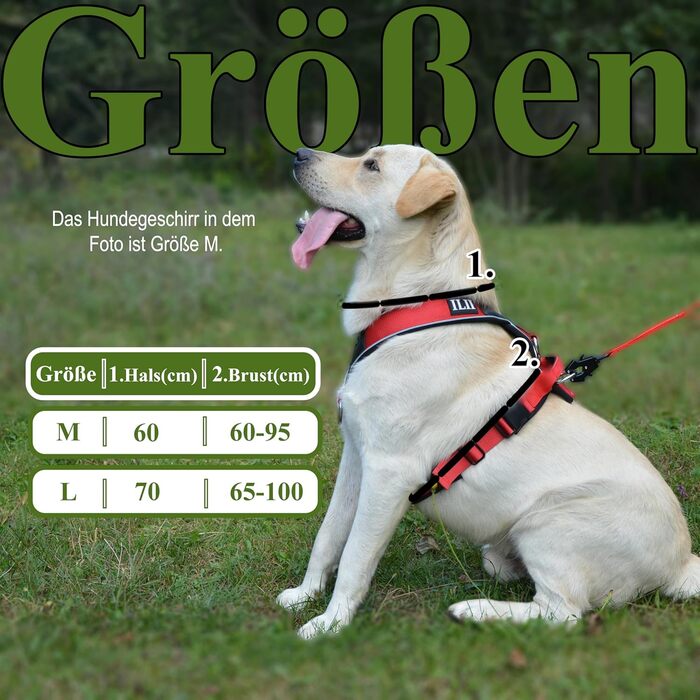 Нашийник для собак III Y - міцний, елегантний та комфортний. Унікальний дизайн для середніх та великих собак. Червоний (L)