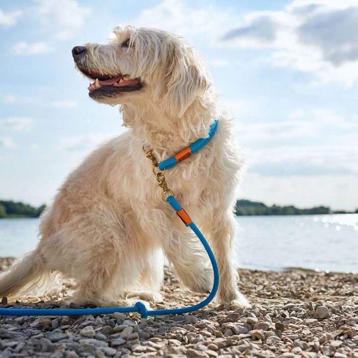 Нашийник для собак HUNTER OSS, петроль, L-XL, мотузка, карабін, морський стиль