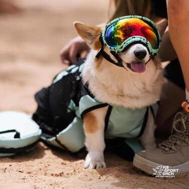 Рюкзак для собак K9 Sport Verstellbarer, сірий (S, Plus 2), об'єм 8.0'L x 6.0'W x 16.0'H