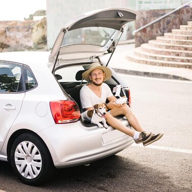 Переноска для собак і котів Nomade 2, до 8 кг, 55x36x35 см, пластикова, міцний поліпропілен, пластикові дверцята