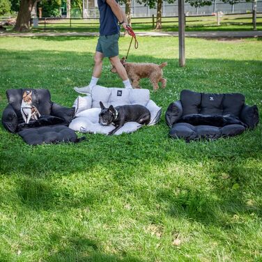 Автокрісло для собак JACKO & CO V2 Premium – підходить для малих та середніх тварин до 18 кг, з підстібкою та поворотком, сіре