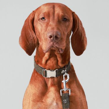 Регульований твідовий нашийник для собак HUGO & HUDSON x Hackett, темно-зелена клітинка, XS