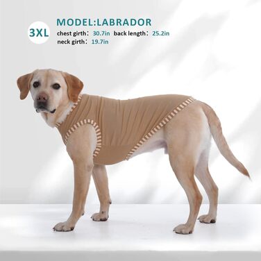 Сорочка для собак Katzinst (2 шт.) - сонцезахист, дихаючий матеріал, для середніх собак, французького бульдога, розмір L (зелений хакі)