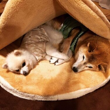 Кругле ліжко для собак та котів Shiba Inu з м'якого плюшу. Лежанка для домашніх тварин, велике ліжко для собак.