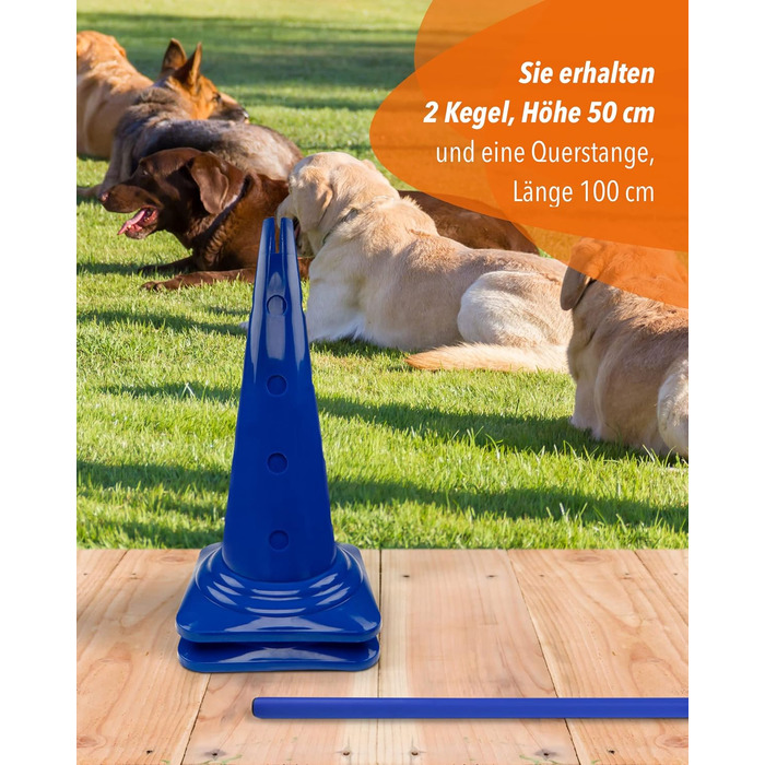 Кегель-бар'єри Sportikel24 для аджиліті – набір бар'єрів для собак, коней та дітей – 50 см